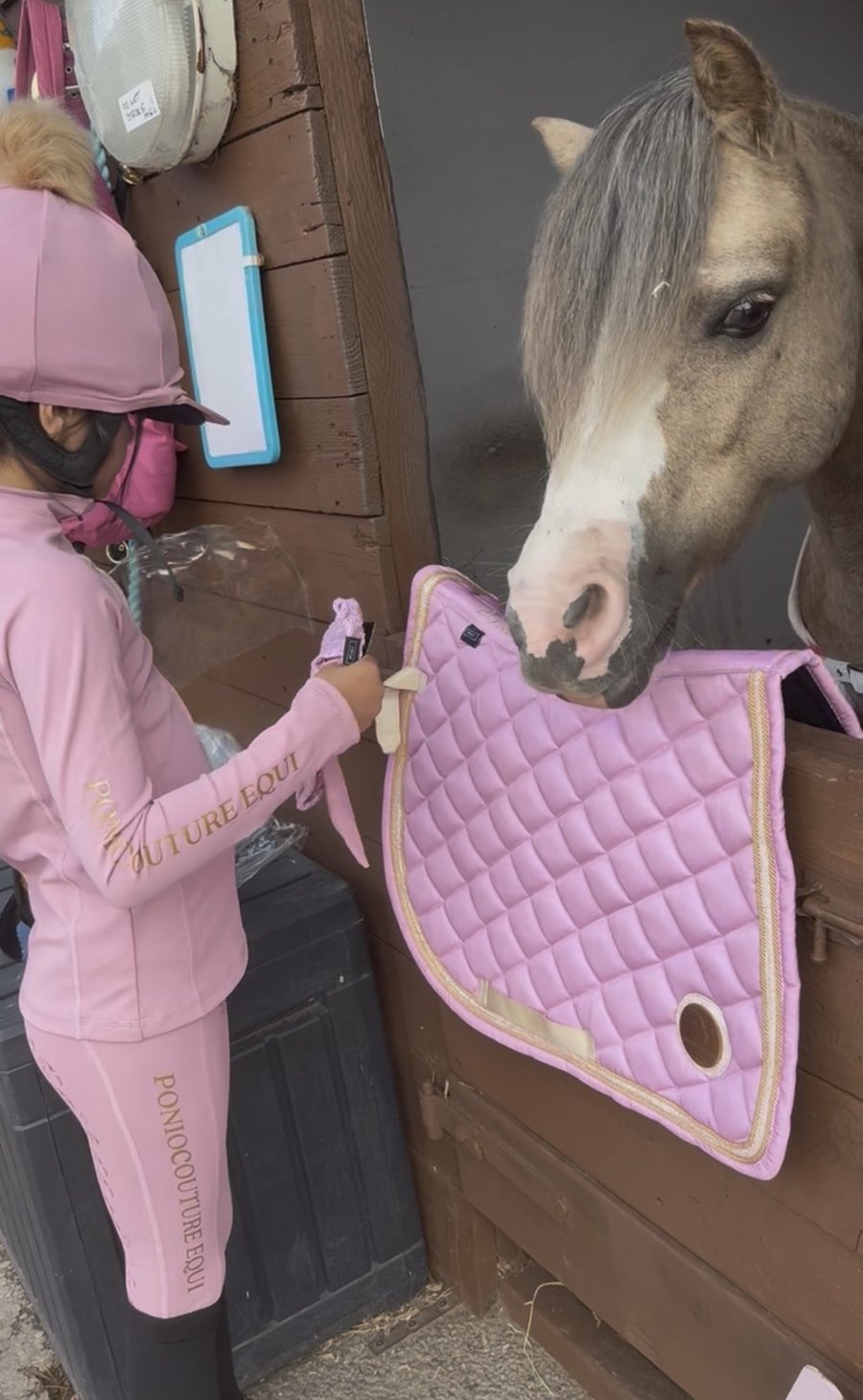 Fairy Dust Sparkle Saddle Pads view 2